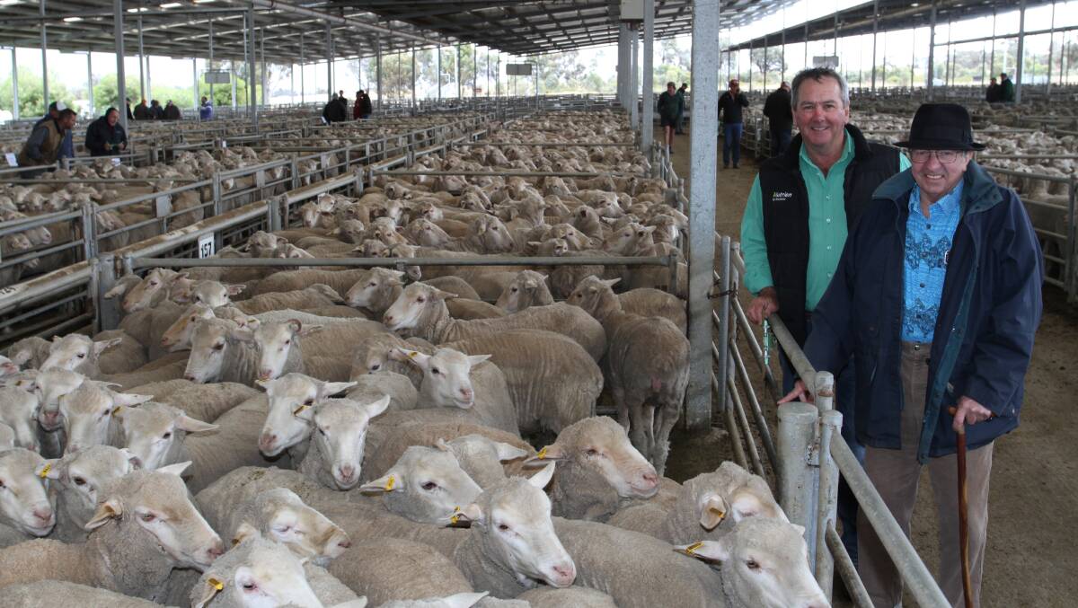With the $216 top-priced genuine line of 596 November shorn Eastville Park blood 1.5yo ewes from JJ & AE Letter, Tambellup, at the Nutrien Livestock annual special November sheep sale at Katanning last Friday were Nutrien Livestock WA commercial sheep manager Tom Bowen (left) and vendor Julian Letter. The ewes were purchased by Mr Bowen representing a Ballarat, Victoria, account.