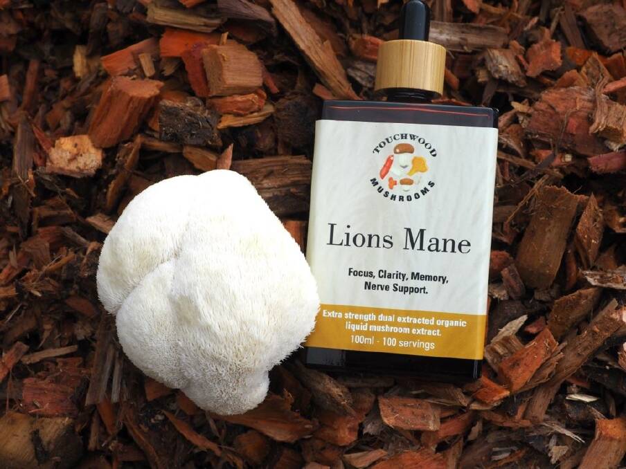  One of the many final products Lions Mane liquid extract.