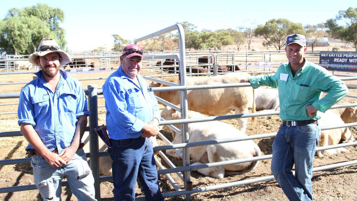 Hayden (left) and Graham McKail, Thisledo Pty Ltd, Red Gully and Nutrien Livestock, pastoral agent Shane Flemming following the sale where Thisledo Pty Ltd purchased three Charolais bulls and new buyer Yanrey Cattle Company Pty Ltd, Exmouth/Badgingarra, purchased two bulls represented at the sale by Mr Flemming.