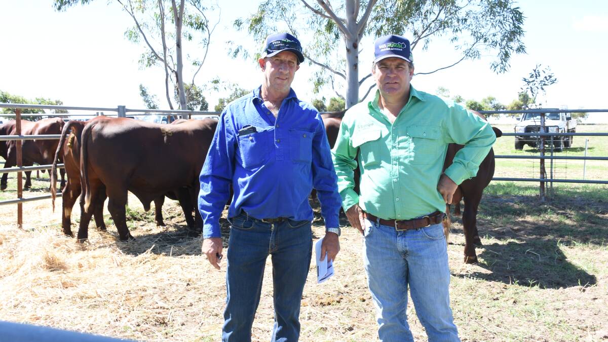 Going through the line-up of bulls before the sale were Mark Lanyon (left), Hamersley and Rocklea stations and Nutrien Livestock Pilbara and Gascoyne agent Richard Keach. During the sale Mr Lanyon purchased six Biara bulls to a top of $7000 twice and an average of $6000.
