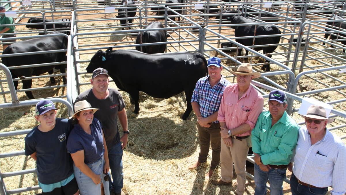 The Kupsch family, Black Tara Angus stud, Allanooka, sold this seasons highest priced bull at a multi-vendor bull sale at the annual Gingin Bull Sale in March. With the bull, Black Tara Thunderstruck T44 (AI) (by Montana Elevation 7108 USA), which sold for $25,000 to the Kanny family, Bonegilla Grazing, Walkaway, were buyers Alannah and Jason Kanny, Bonegilla Grazing, and their son Dexter (left), Black Tara Angus stud co-principal Brad Kupsch, Allanooka, Elders Gingin agent Geoff Shipp, Nutrien Livestock Mid West and pastoral agent Richard Keach and Black Tara Angus stud co-principal Peter Kupsch.