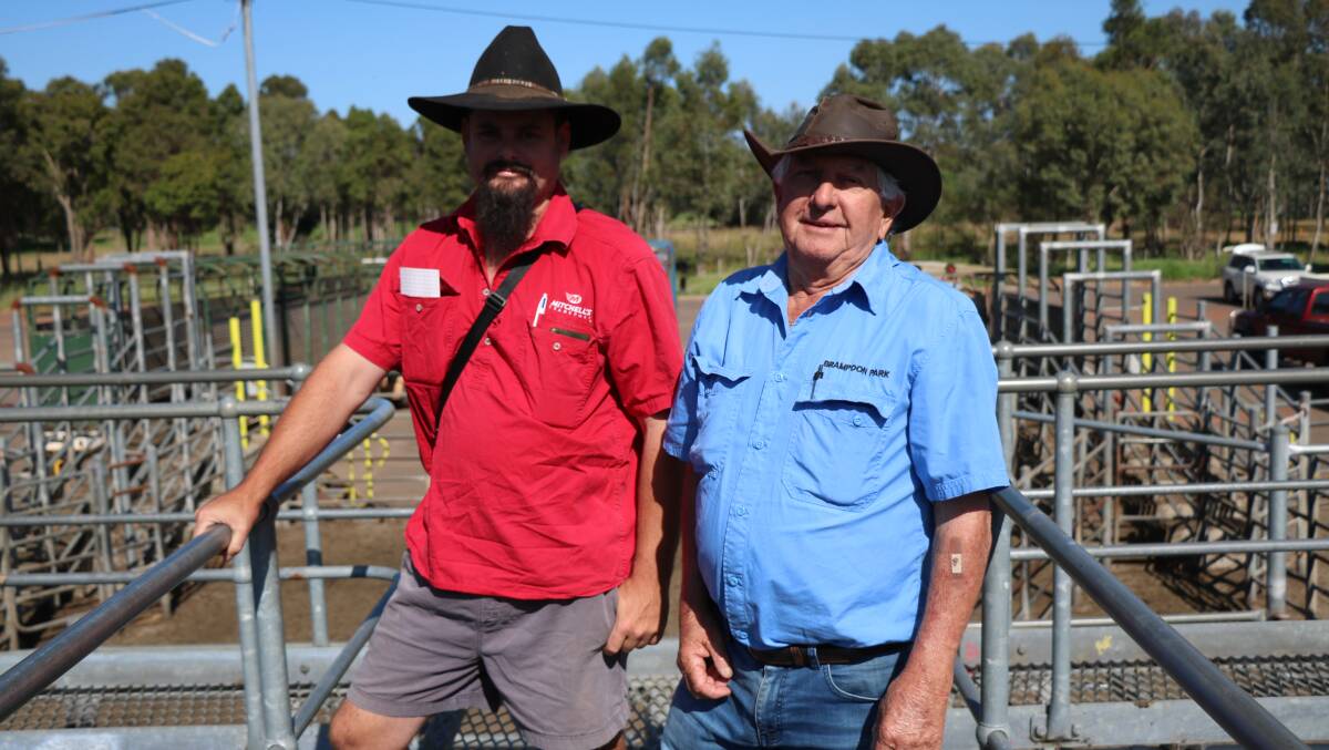 Mitchells Transport co-ordinator Damo White (left), Byford, with local carrier Don Ratcliffe, Ferguson, waiting to move cattle following the sale.