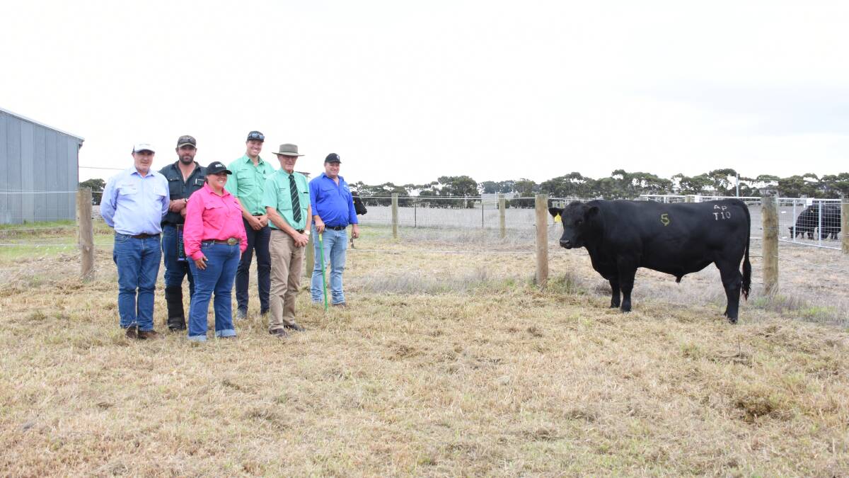 Prices hit a high of $18,500, for this bull at last weeks Allegria Park Angus on-property bull sale at Esperance, when it sold to the Whiting family, Shepwok Angus, Esperance. With the bull were top price prize sponsor Tony Murdoch (left), Virbac, Shepwok Angus cattle managers Nigel and Jess Bingham, Chatley Livestock and Nutrien Livestock, Esperance representative Tom Page, Nutrien Livestock auctioneer Neil Brindley and Allegria Park principal Andrew Kuss.