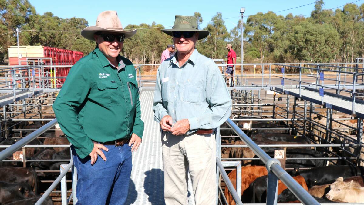 Nutrien Livestock, Bridgetown agent Ben Cooper (left) was with David Treloar, Boyup Brook, before the sale at Boyanup. Mr Treloar sold pens of Angus weaners to $989 while Mr Cooper was one of the volume buyers.