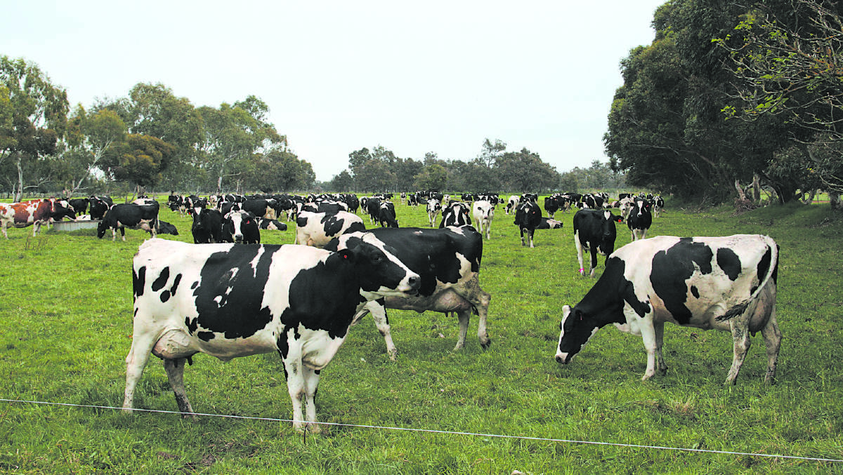 Dairy market intervention on the table
