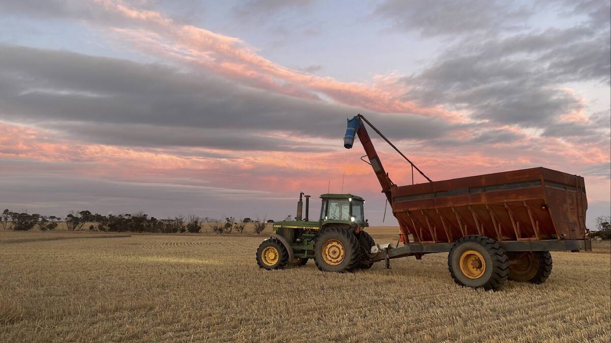  Fifteen-year-old Clancy ONeill, Ongerup, drove the familys 1980s, 4450 John Deere tractor, named Beverley, with its 30-year-old red chaser bin for their harvest. The family had two headers running and was pleased to achieve a good, average yield after a very wet 2022. 