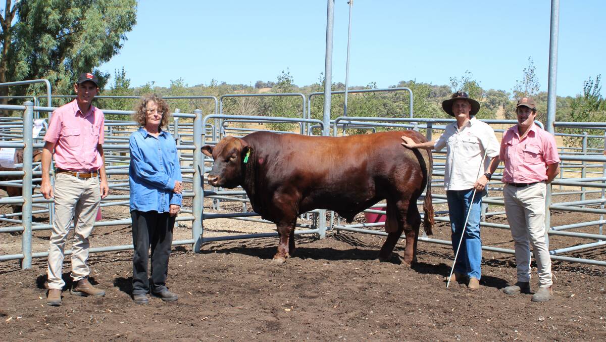 The $7000 top price honour at the fifth annual WA Consolidated Red Angus sale in Benger on Monday went to Magic Valley Pacific P8. With the bull were Elders South West livestock manager Michael Carroll (left), buyer Patricia Fraser, PC Fraser, Bridgetown, Magic Valley stud principal Richard Bennett and Elders Harvey/Brunswick representative Craig Martin.