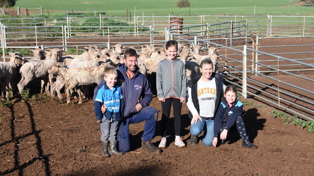 Dumbleyung farmers Jon and Candice Ward with children Duke (4), Lexi (10) and Cleo (8) in their sheep yards with some ewe hoggets which will soon be sold. The Wards join 2000 Merino ewes annually but the past few seasons have been a challenge for their sheep enterprise.