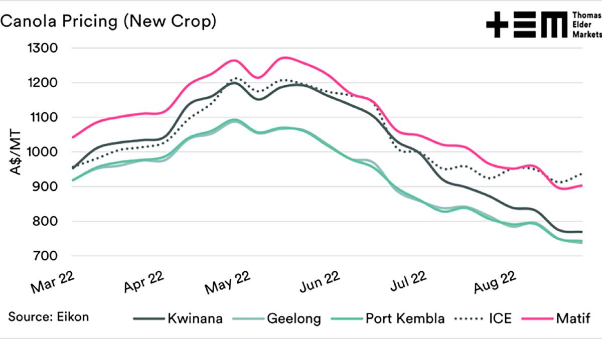 Chart 3: Australian canola prices have fallen more than ICE and MATIF canola futures.