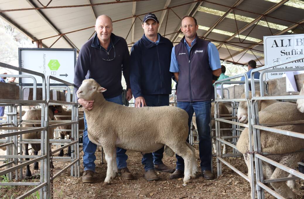 Marapana Poll Dorset stud principal Chris Marwick, Westcoast Wool & Livestock agents Clint Wardle and Mat Lowe with one of the $1400 top-priced rams.