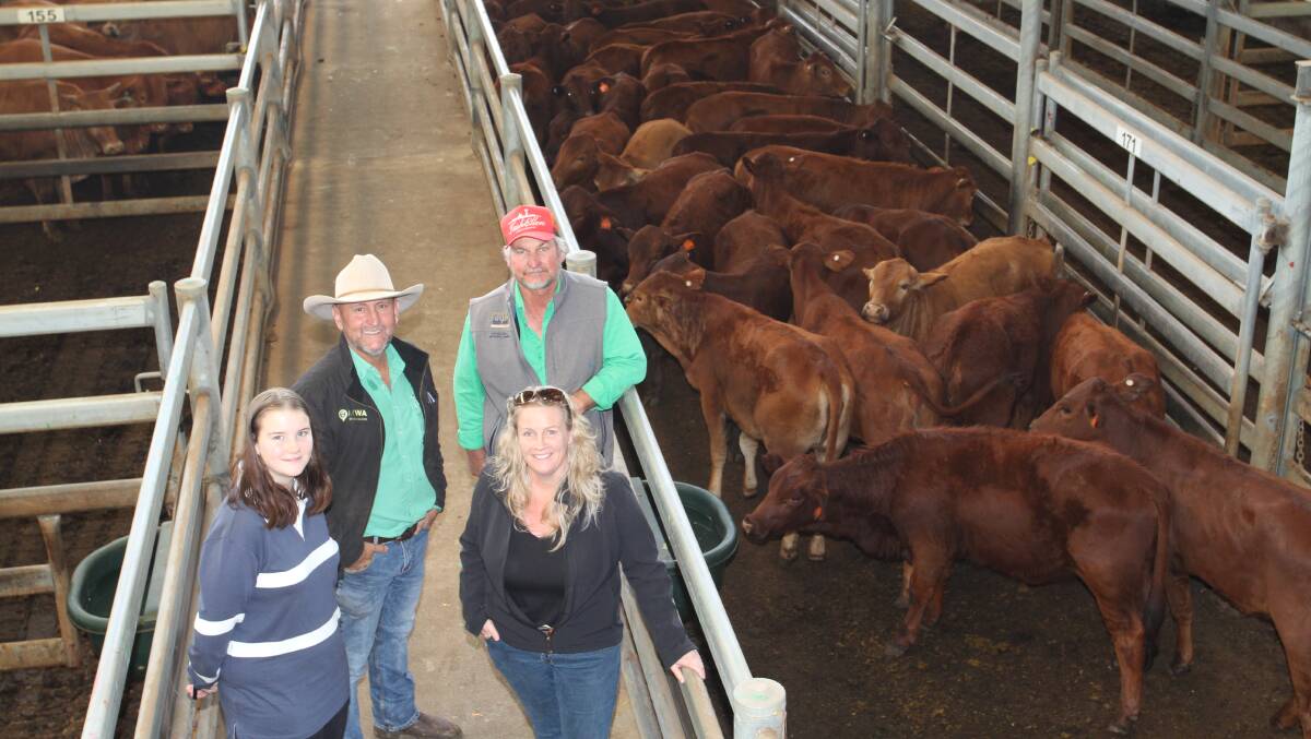 With the line of 42 young Santa Gertrudis heifers averaging 219kg offered by Killara station, Meekatharra, that sold for 522c/kg and $1143 at the Nutrien Livestock store cattle sale at the Muchea Livestock Centre last week were vendors Mia (left) and Penny Johns, Killara station, Craig Walker, Nutrien Livestock, Mid-West and Wheatbelt and buyer Scott Henville, Henville Holdings, Northern Gully.