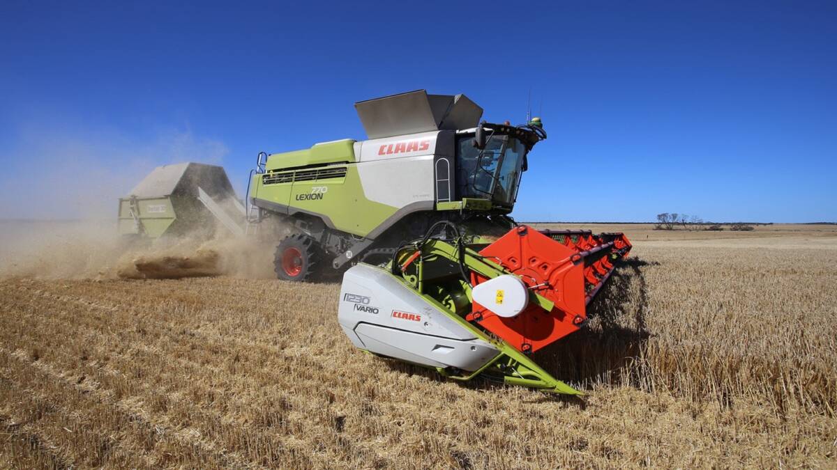 The new CLAAS Lexion 770 header 'eats' its way through a five tonne barley crop during harvest on John Wallace’s farm at Neridup (north east Esperance).