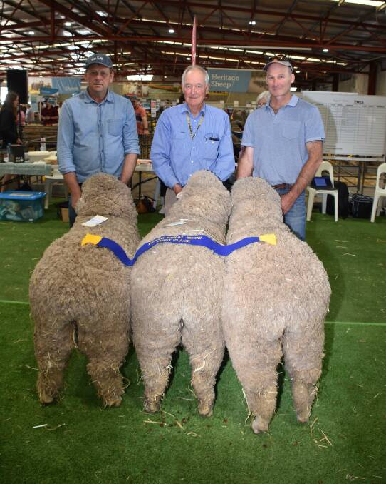 The Tilba Tilba stud, Williams, won the class for a group of three ewes. With the winning group were Raymond Edward (left), Wagin and Tilba Tilba principals Stuart and Andrew Rintoul.