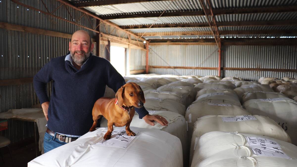 Salmon Gums woolgrower Murray Ayers with sheep dog Bella and some of the bales harvested from a recent shearing at the Ayers family's Myamba Downs property.