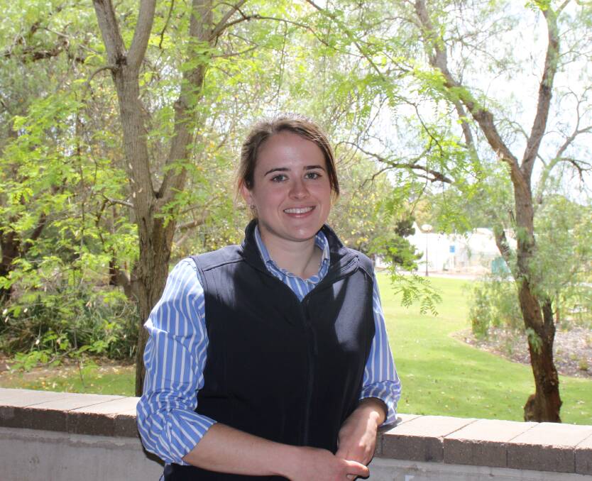 Murdoch University researcher Amy Lockwood has been investigating the relationship between lambing density and lamb survival.