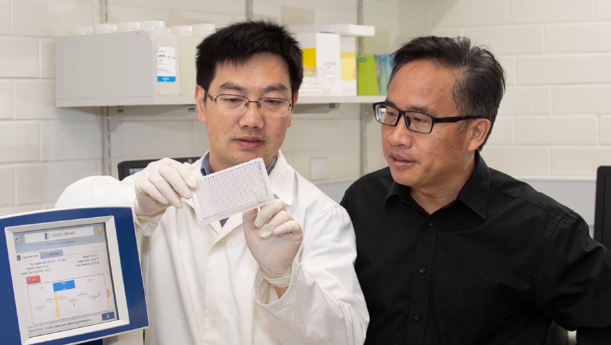 DPIRD research officer Gaofeng Zhou (left) and Western Barley Genetics Alliance director, professor Chengdao Li, have been working on the new barley variety identification test at Murdoch University's State Agriculture Biotechnology Centre.