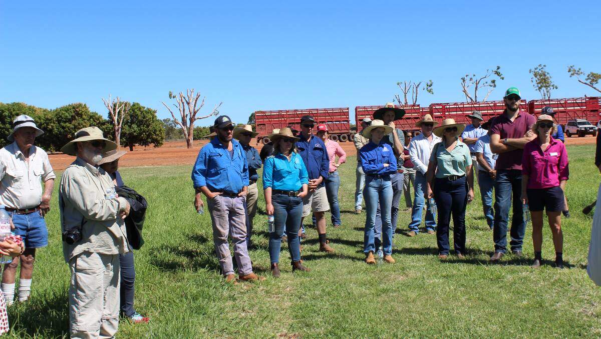 There was a big turnout to hear about the irrigated pasture and fodder updated provided at the Skuthorpe industry field walk, east of Broome.