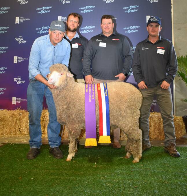 The grand champion autumn shorn ewe and champion autumn shorn Poll Merino ewe under 1.5 years was exhibited by the Belmont Park stud, Wagin. With the ewe were Belmont Park co-principal Raymond Edward (left) and judges Angus Halliday, Callowie stud, Bordertown, South Australia, Jarrod King, Warralea stud, Gairdner and Tom Lilburne, Poll Boonoke stud, Conargo, NSW.