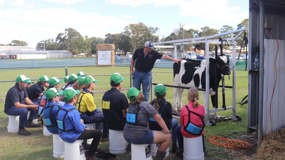 Participants were given the opportunity to learn some tips on a range of cattle handling and care techniques at last week's annual WA Youth Cattle Handlers camp at Brunswick.