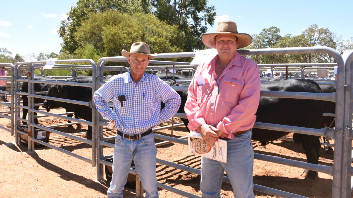 Cookalabi Angus stud co-principal David Topham (left), Coomberdale, discussed the offering of bulls on offer from his stud with Elders, Moora representative Clint Fletcher. In the sale Mr Fletcher purchased four Cookalabi bulls all at $5000 for Yadgeno, Moora.