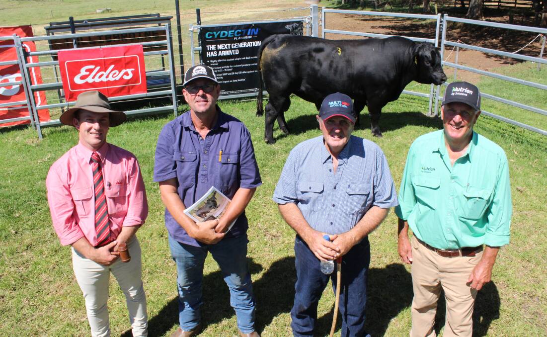 Elders auctioneer James Culleton (left), top price buyer Kim Dunnet, OM Dunnet & Co, Nannup, Tullibardine Angus stud principal Alistair Murray and Nutrien Livestock, Great Southern livestock manager Bob Pumphrey with the $18,500 top-priced Angus bull at the Tullibardine stud's on-property bull sale last week at Albany.