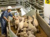 WA farmer Bruce Harvey is another who has voiced concern over the Federal government's decision to ban live sheep exports by sea.