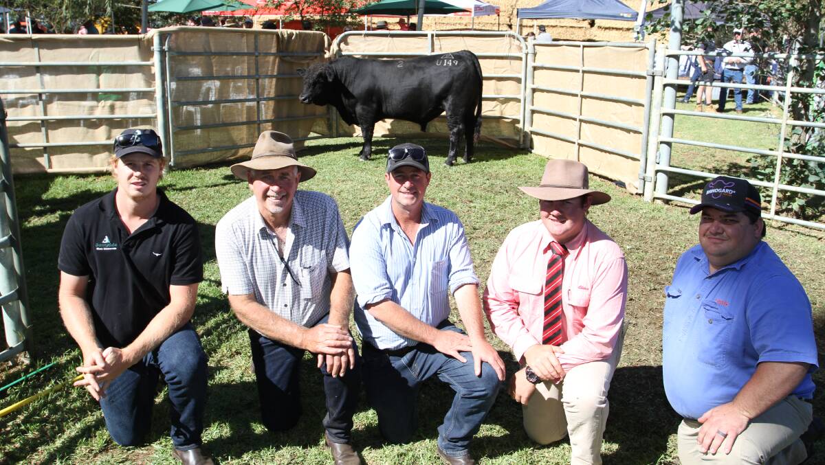  With the $41,000 new stud record top-priced bull at the 28th annual Bonnydale Black Simmental and SimAngus yearling bull sale at Bridgetown last week were Connor DeCampo (left) and Rob Introvigne, Bonnydale stud, buyer representative Brad Creek, Six Creeks Black Simmentals, Mount Gambier, South Australia, Pearce Watling, Elders, Donnybrook/Bridgetown and top price bull sponsor Jarvis Polglaze, Zoetis. The bull, Bonnydale Revenue U149, was purchased in partnership by Webb Black Simmentals, Glenburn, Victoria and St Pauls Genetics Black Simmentals, Henty, New South Wales, with a semen share to Six Creeks Black Simmentals.
