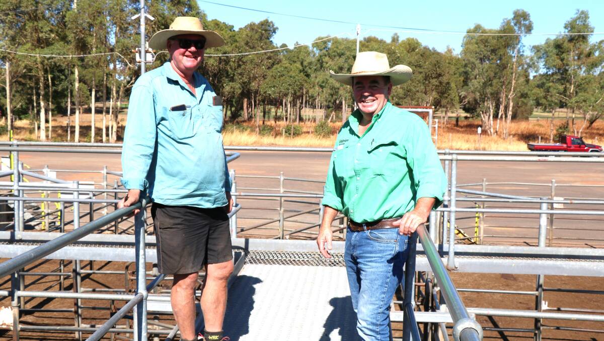 Buyers Kevin Armstrong (left), Willowbank, Benger, before the sale with Jamie Abbs, Nutrien Livestock, Boyup Brook.