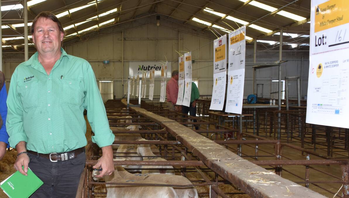 Roy Addis will be overseeing the Unigrain British and Australasian breeds at the 50th Woolorama.