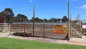 Future of Boyanup saleyards questioned