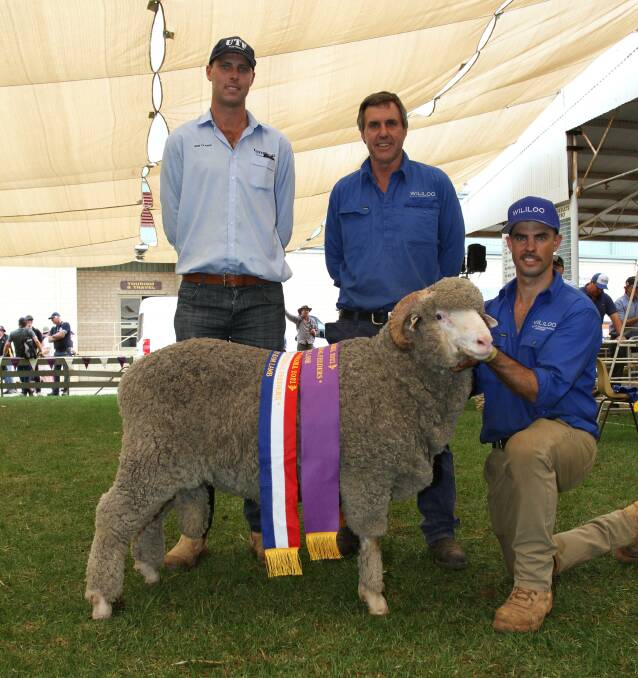 The Wise family, Wililoo stud, Woodanilling, exhibited the grand champion Merino lamb for the second year in a row at this year's Make Smoking History Wagin Woolorama. With the champion fine wool Merino ram lamb were sponsor Ben Clarke (left), Universal Trailers and Feeders, Goomalling and Wililoo stud principals Clinton and Rick Wise.