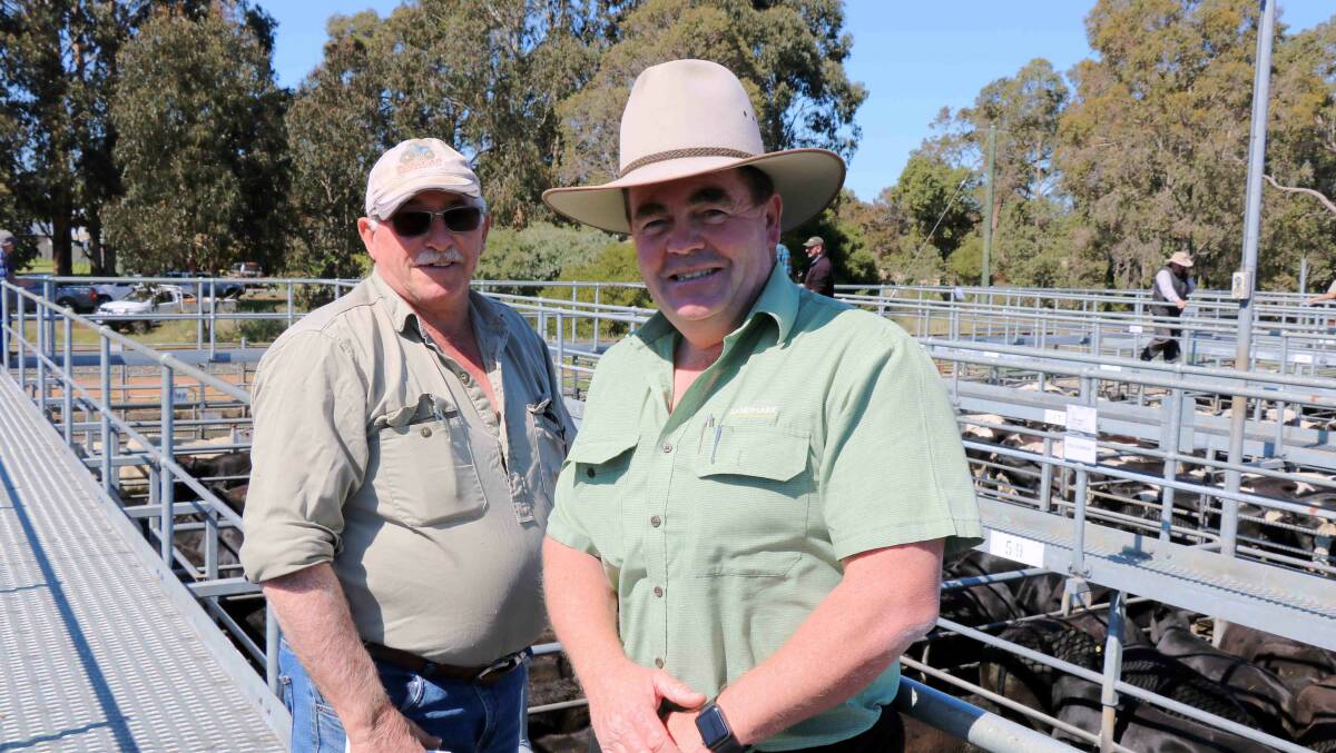  Ian Tyrell (left), Waterloo, checked the cattle with his agent Jamie Abbs, Landmark Boyup Brook. Ian sold Angus heifers to a top of $1031.