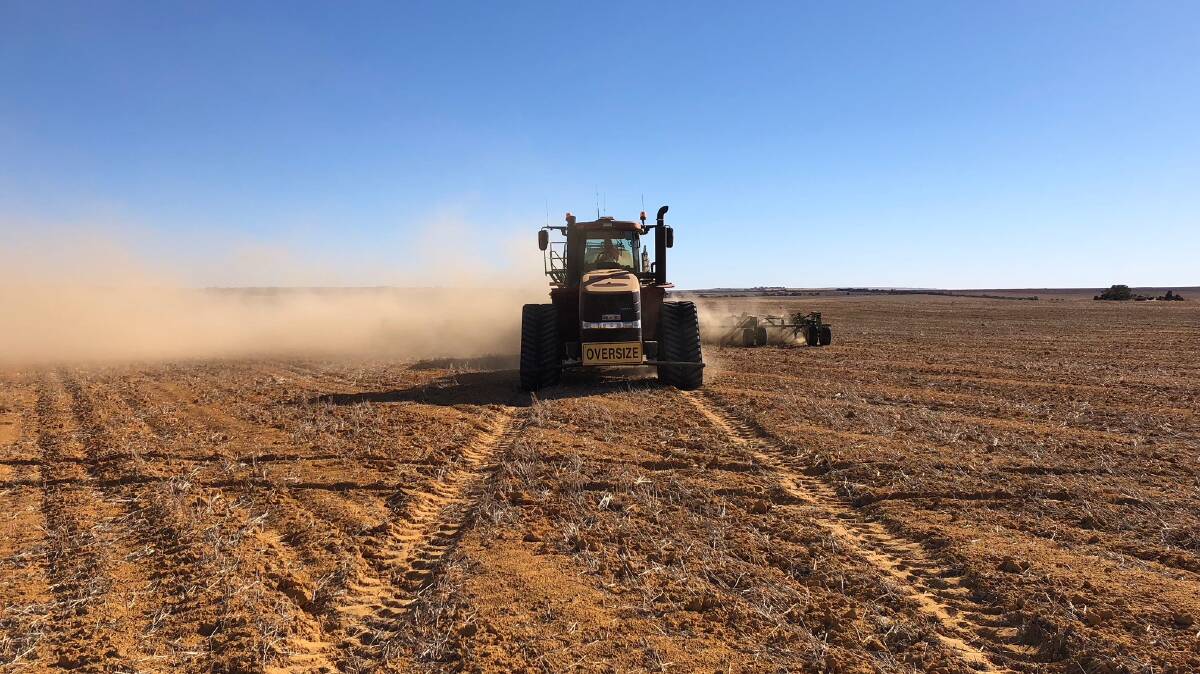 Sowing barley on renovated controlled traffic lines.