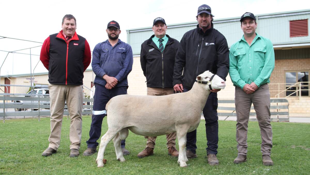 Elders stud stock manager Tim Spicer (left), buyer Michael Potter, Boree Park White Suffolk stud, Rhodes Pastoral Pty Ltd, Boyup Brook, Nutrien Livestock Breeding representative Roy Addis, Golden Hill White Suffolk stud co-principal Nathan Ditchburn, Kukerin and Nutrien Livestock, Dumbleyung agent Scott Jefferis with the Golden Hill ram that sold for the $9000 top price at the WA Elite White Suffolk and Suffolk ram and ewe sale.