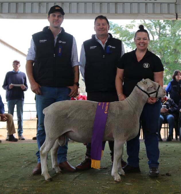  The interbreed champion ribbon ram was awarded to this ram from the Iveston White Suffolk stud, Williams. With the ram were judges Brenton Addis (left), Gnowangerup, Roy Addis, Nutrien Livestock Breeding and Iveston stud's, Stacy Bingham. The ram was also sashed the champion White Suffolk ram.