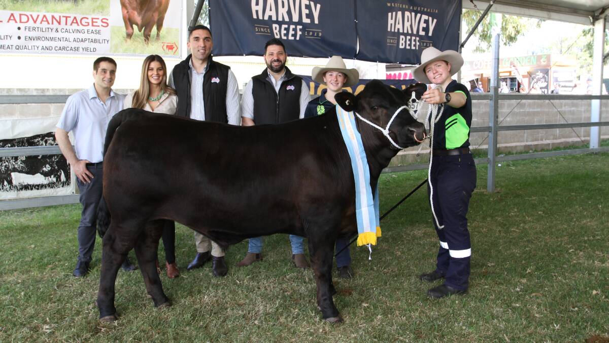 Western Meat Packers Group paid $6400 for the reserve champion extra heavyweight led steer/heifer exhibited by WA College of Agriculture (WACOA), Denmark. With the 548kg Limousin-Angus heifer were John Pizone (left), Kate Russell, Anthony Morabito and Andrew Fuda, Western Meat Packers Group and WACOA Denmark year 10 students Phoebe Mottram and Bree Skinner.