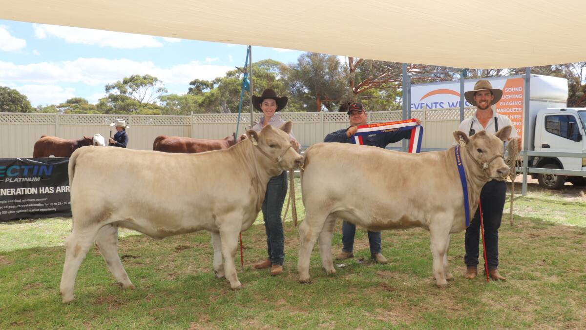 Award sponsor Jarvis Polglaze (centre), Zoetis, presented the Zoetis pair of WA bred heifers to the Southend Murray Grey stud, Katanning. Holding the heifers is handler Libby Miell and Southend stud co-principal Kurt Wise.