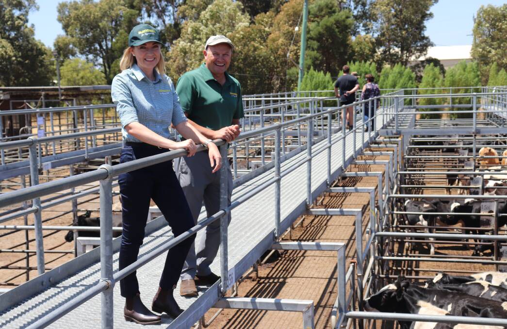 The Nationals WA leader and Wheatbelt MP Mia Davies and South West MLC Colin Holt inspecting the Boyanup sale yards.