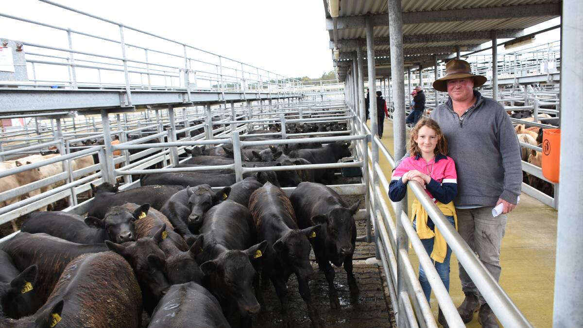  Shane Marsh and daughter Samantha, Hillcrest Farms, Walpole and Marbelup, with their winning pen of steers that won the class for steers weighing 300-350kg. The pen of 15 Angus steers averaging 347kg sold at 442c/kg to return $1534.