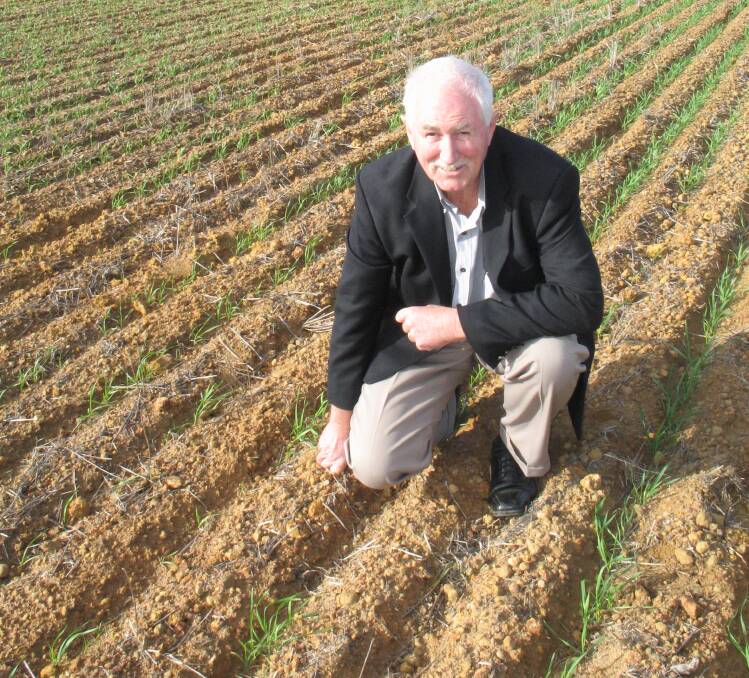  Squatting in an old interceptor bank, Mr Richards says you can still see the line where the bank was constructed as it curves past the front of the utility. Now he is establishing longer straight lines, up to 2.3 kilometres long and employing RTK guidance for up and back workings.