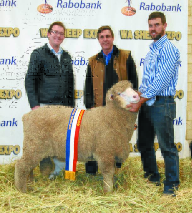 CHAMPION MARCH SHORN MEDIUM WOOL POLL MERINO RAM: Rabobank Albany branch manager Craig Matthews (left), congratulated Wililoo stud principals Clinton and Rick Wise, Woodanilling, on exhibiting the champion March shorn medium wool Poll Merino ram.