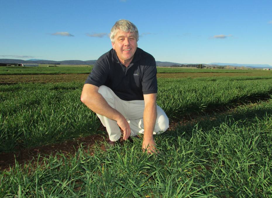 FAR Australia managing director Nick Poole said HRZ trials involved a mixture of small plot work, looking at mid-April sowings and winter versus spring germplasm. Photo by FAR Australia.