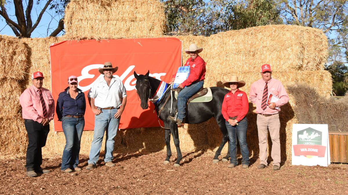 Prices hit a top of $38,000 for this black, six-year-old stallion, Devils Creek Anchorman (HSH), in the second annual Elders Western Australia Elite Horse Sale at Coolup at the weekend. With the stallion were Elders southern regional manager George Panayotou (left), buyers Amanda and Robert Morgan, Juna Downs station, Tom Price, vendors Brandan Holland and Karen Sampson, Sunny Mia Performance Horses, Kojonup and Elders, Waroona representative and event co-ordinator Wade Krawczyk.
