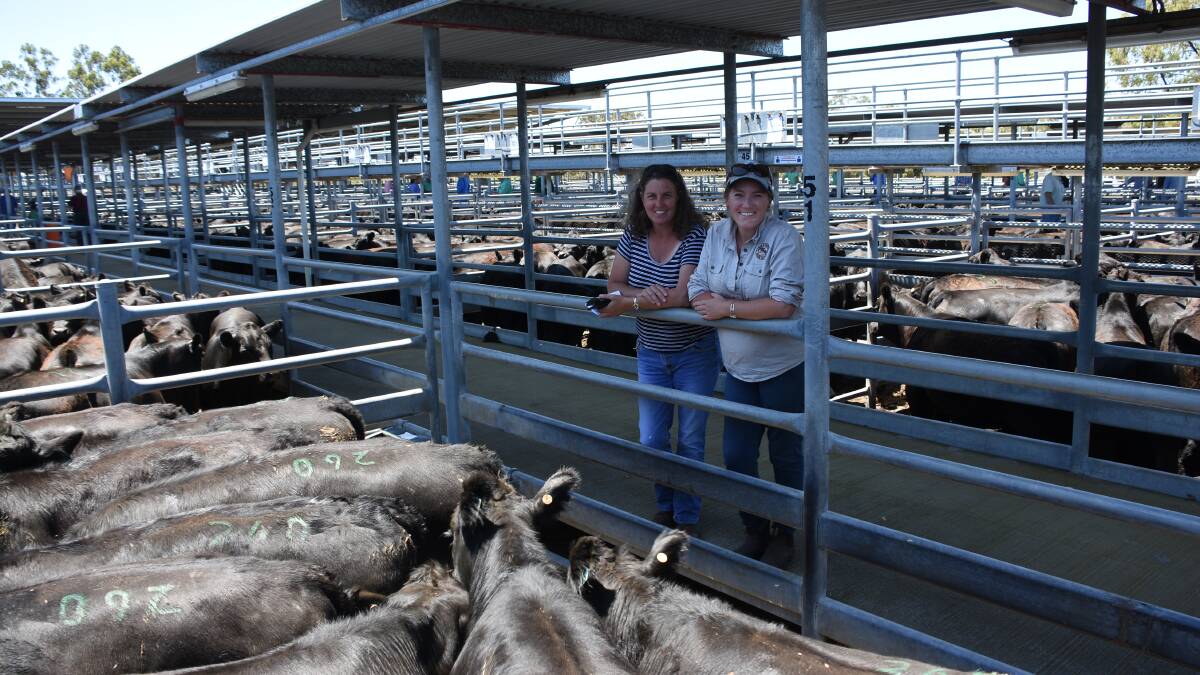 Rebecca (left) and Bianca Blyth, MJ Blyth & Co, Manypeaks, were at the sale to see their family's weaners sold. In the sale the Blyths sold 49 steers to a top of $1594.