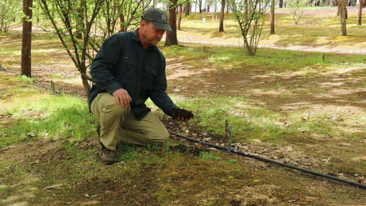 Dion Range never intended to grow truffles on his 64ha property in the Manjimup region.