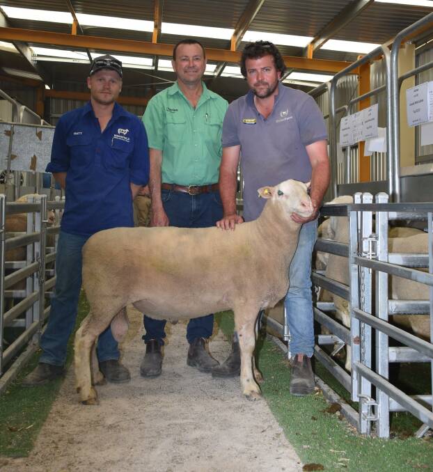 In the prime lamb sire side of the catalogue prices hit a high of $2500 for this White Suffolk sire from the Macsfield stud, Condingup/Beaumont, when it sold to the Fowler family, Chilwell, Condingup. With the ram were Macfields Matt McDonald (left), Nutrien Livestock, Esperance agent Darren Chatley and Chilwell livestock manager Stephen Bingham.