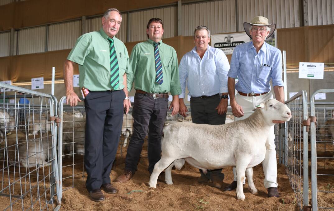With this season's $7000 equal second top-priced shedding ram sold at the Hillcroft Farms UltraWhite stud on-property ram sale at Popanyinning in October were Landmark auctioneer Steve Wright (left), Landmark Breeding representative Roy Addis who bid on behalf of a New South Wales-based buyer, with Dawson Bradford and Dawson Bradford, Hillcroft Farms stud.