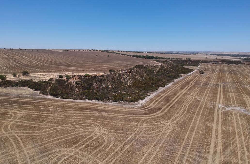 Quality mixed enterprise farm Arrowsmith, at Arrino, has been offered for sale via the online auction platform, Openn Negotiation. Photo: Nutrien Harcourts WA.
