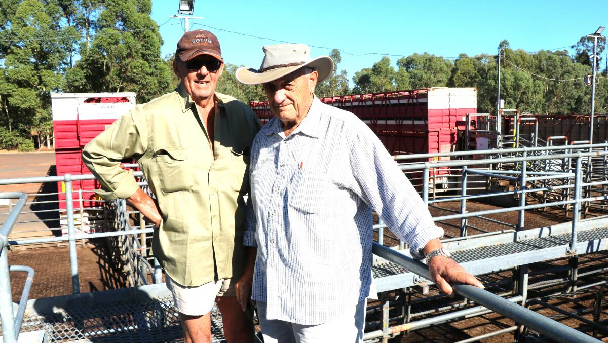 Stan Gadecki (left), Collie, had Phil Musitano, Brunswick, at the sale to help select cattle to purchase. They went home with the top-priced beef cross steers at 454c/kg weighing 272kg that cost $1240
