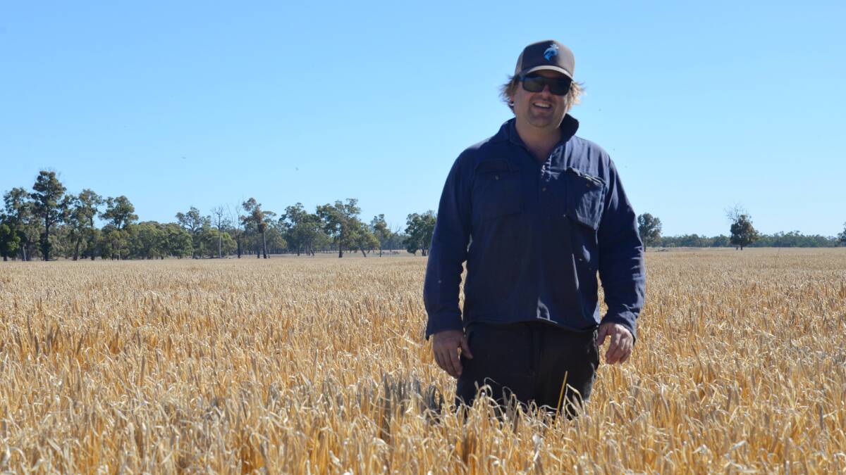 Kieran Allison farms west of Mt Barker and all of his crops went well above the long-term average for the district. Photo by Agworld.